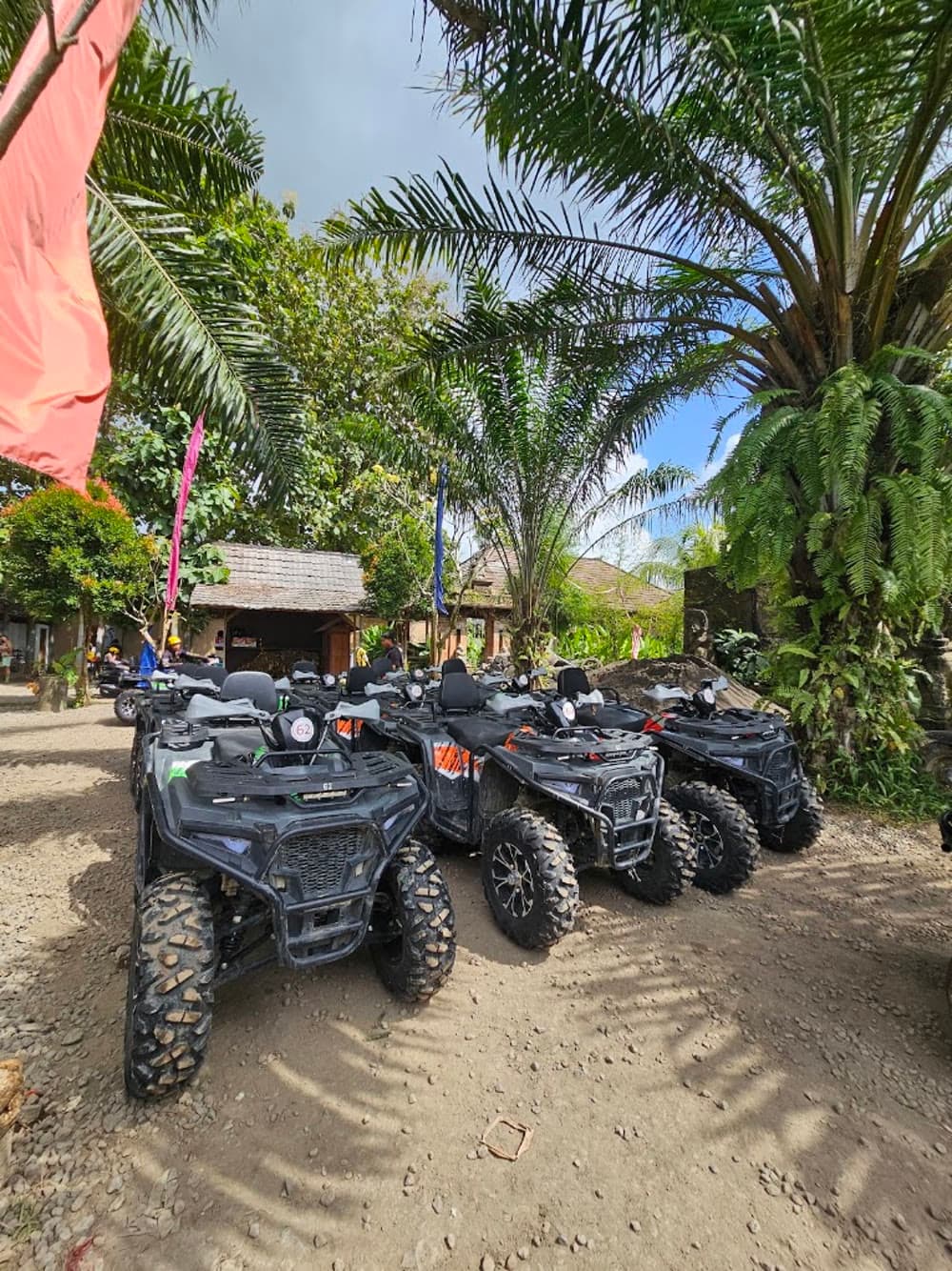 A row of black quads parked under palm trees at the ATV base before a guided ride