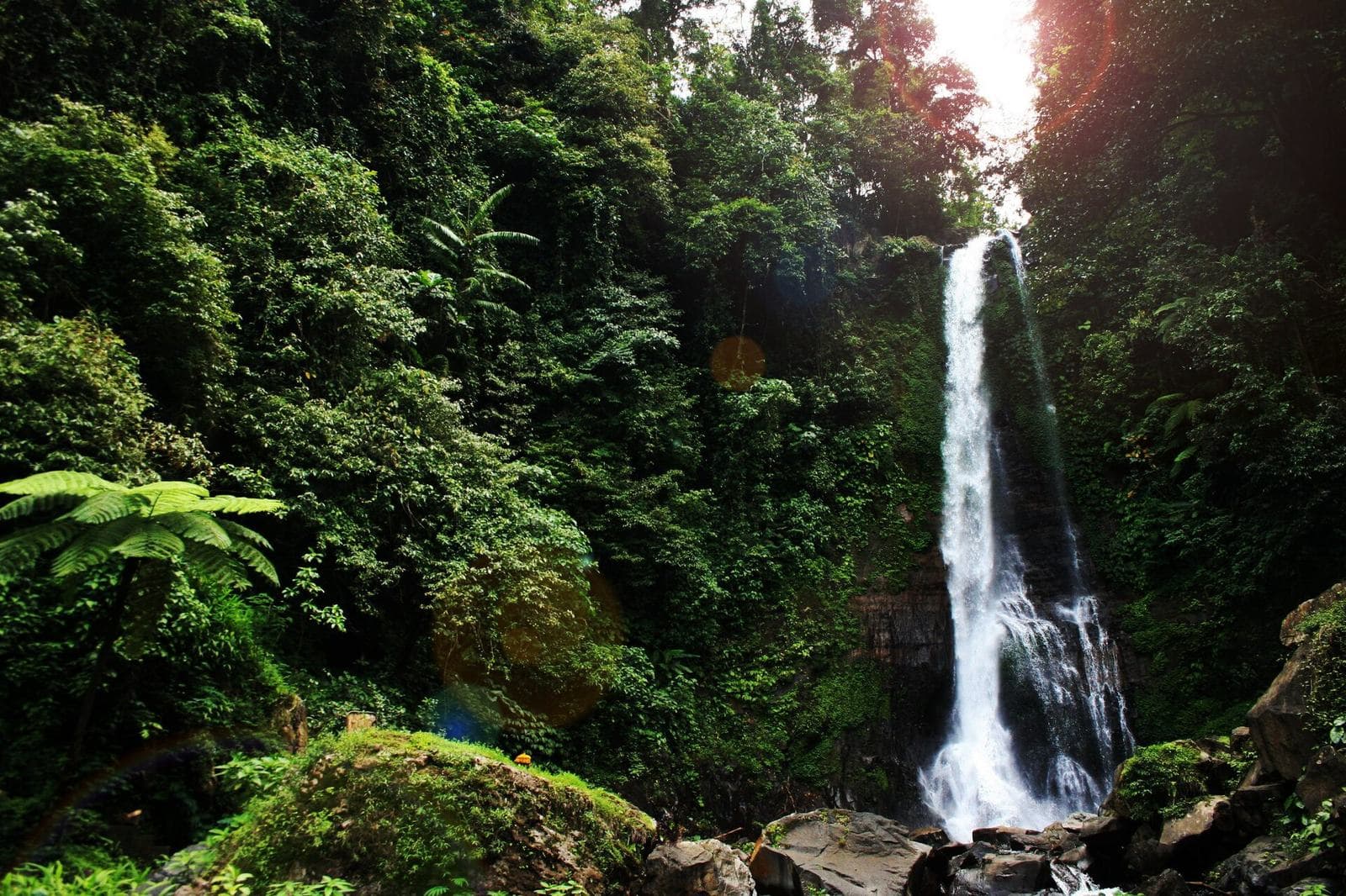 Gitgit waterfall in the forested highlands of Bali
